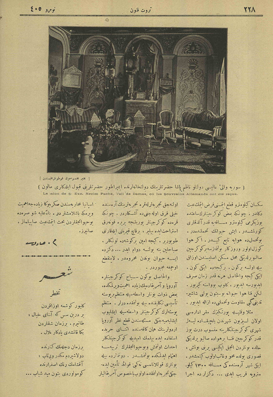 Suriye Vali-i Alisi Devletlü Nazım Paşa Hazretlerinin Devlethanelerinde İmparator Hazretlerini Kabul Eyledikleri Salon