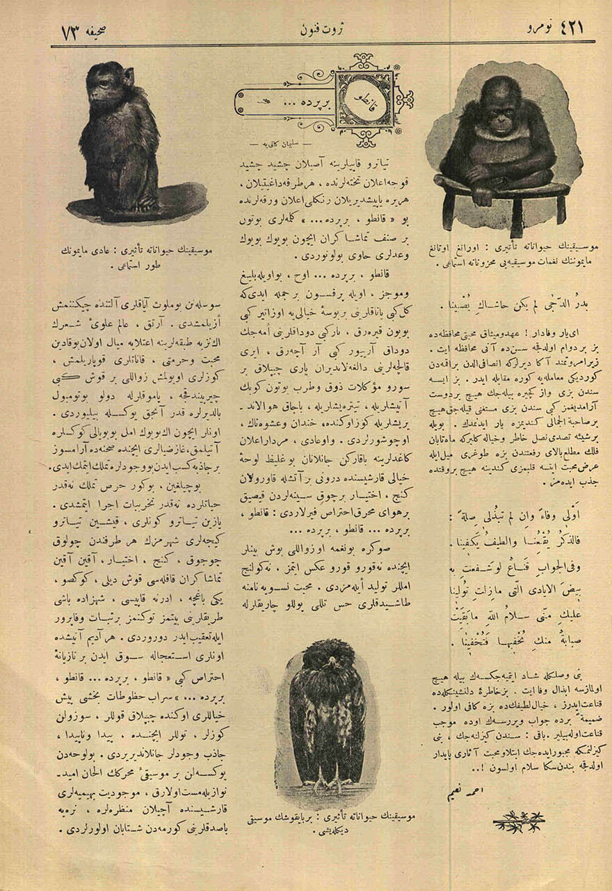 Musikinin Hayvanata Tesiri: Orangutan Maymunun Nağmat-ı Musikiyi Mahzunane İstimaı (Sağda)